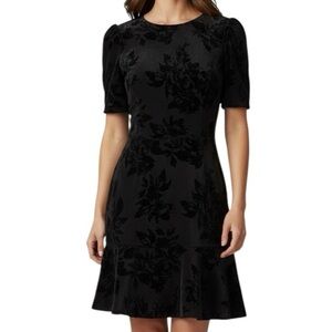 NWT AQUA Black Velvet Floral Embossed Short Sleeve Cocktail Dress Size Medium